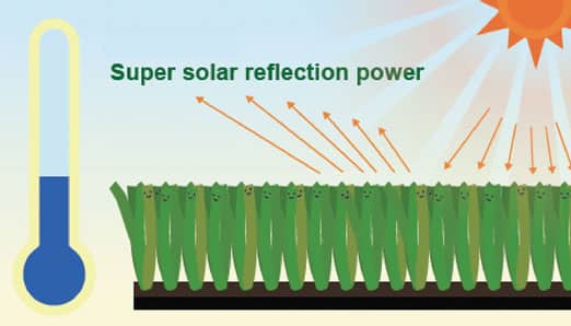 Artificial-Turf-Solar-Reflection Synthetic Grass